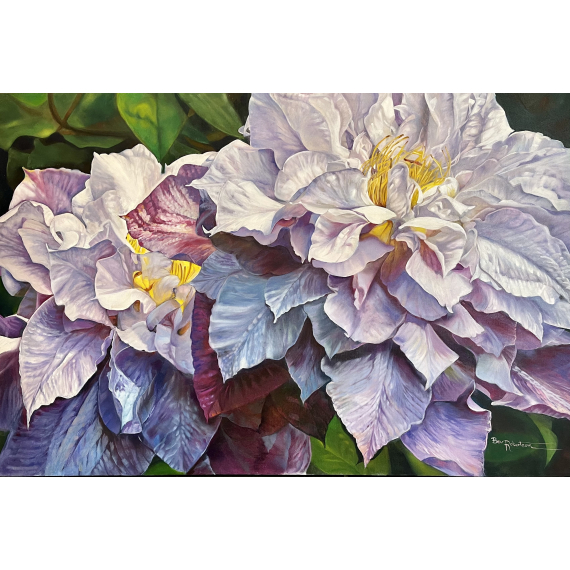 Bev Robertson - Jewels of July - Double Clematis