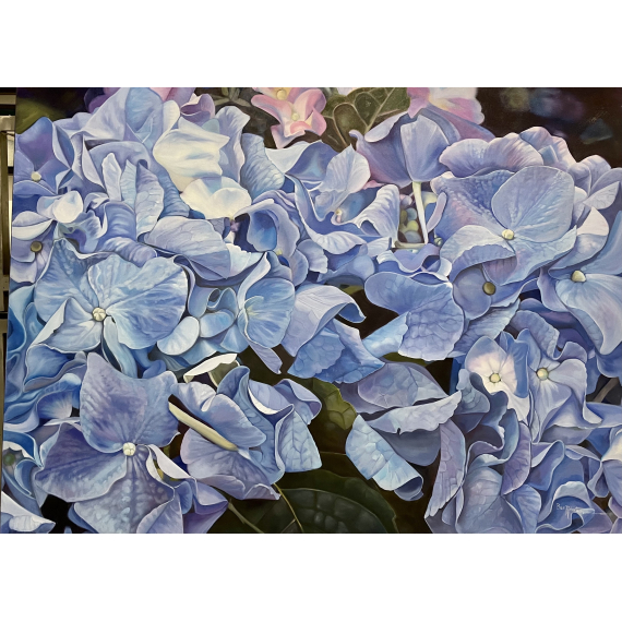 Bev Robertson - Blue Hydrangea 