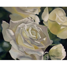 Bev Robertson - Anniversary Roses