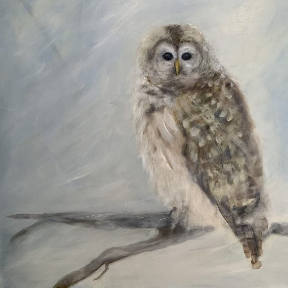 Vikki Fuller - Barred Owl