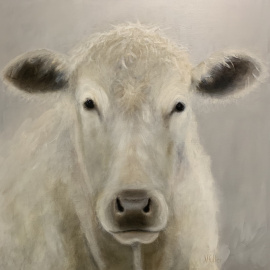 Vikki Fuller - Charlotte the Charolais Cow