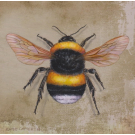 Kathy Cameron - Bumble Bee II