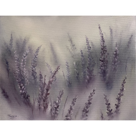  Trenova - Lavender Fields