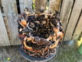 Large mixed Kelp Basket - Alternate view