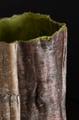 The Material has Memory (Moss) - Alternate view
