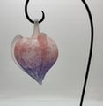 Hanging Japanese Lantern Fruit - Main view