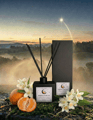 Morningstar Veil Reed Diffuser - Alternate view