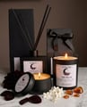 Noctelle - Main view