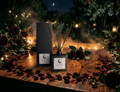 Noctelle Reed Diffuser - Alternate view