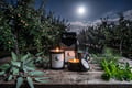 Silversage Orchard - Alternate view