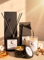 Sunlit Whisper Reed Diffuser - Alternate view
