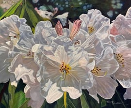 Bev Robertson - Singing In The Choir