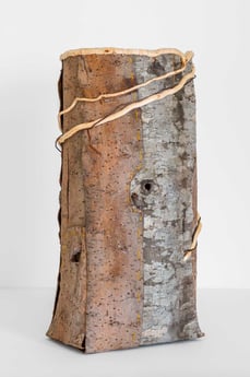 Christi York - The Material has Memory (Knothole)