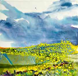 Diane Larouche Ellard - Canola Splash