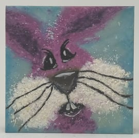 Cindy Obuck - Nibbles