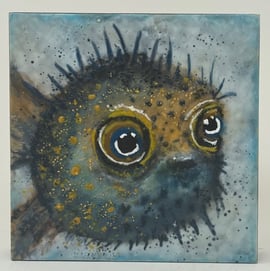 Cindy Obuck - Orville