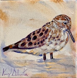 Amy Schroeter - Sandpiper IV