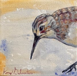 Amy Schroeter - Sandpiper I