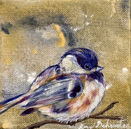 Amy Schroeter - Chickadee IV