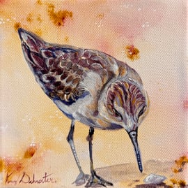 Amy Schroeter - Sandpiper III