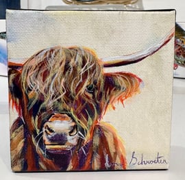 Amy Schroeter - Highland I