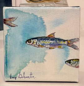Amy Schroeter - Minnows I
