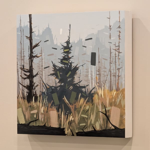 Spruce Trails by Alvin Ray