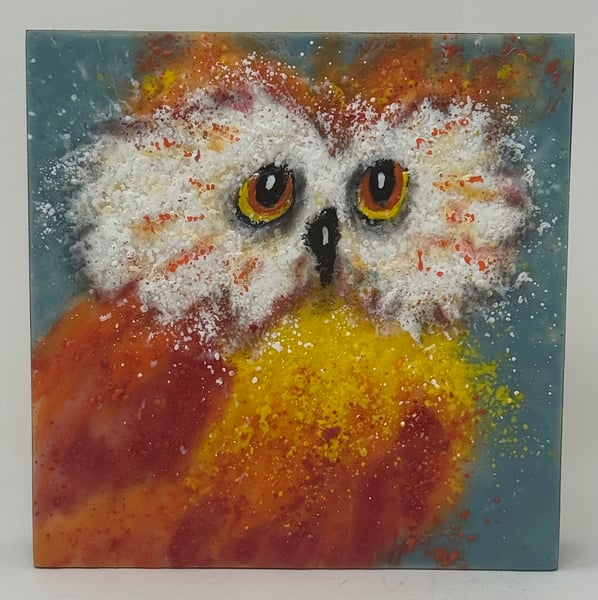 Starburst by Cindy Obuck