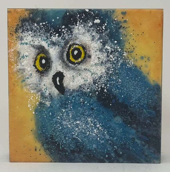 Skor by Cindy Obuck