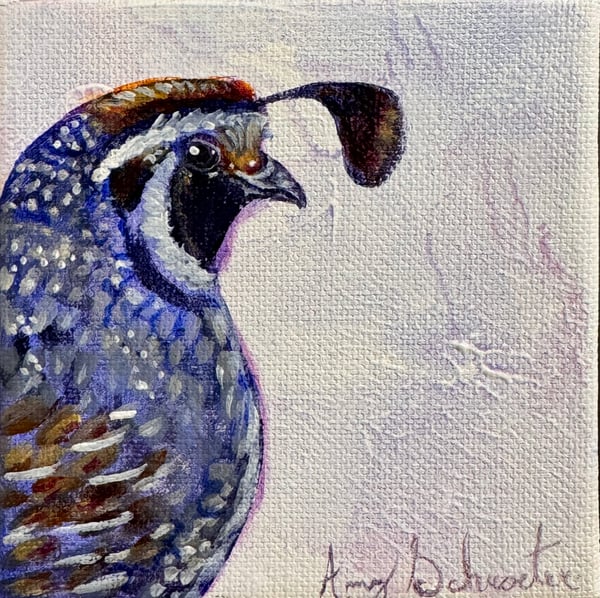 Quail II by Amy Schroeter