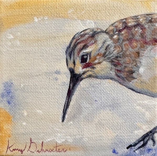 Sandpiper I by Amy Schroeter