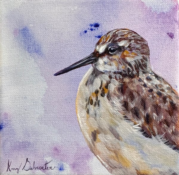 Sandpiper V by Amy Schroeter