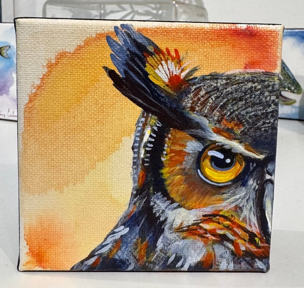 The Owl by Amy Schroeter