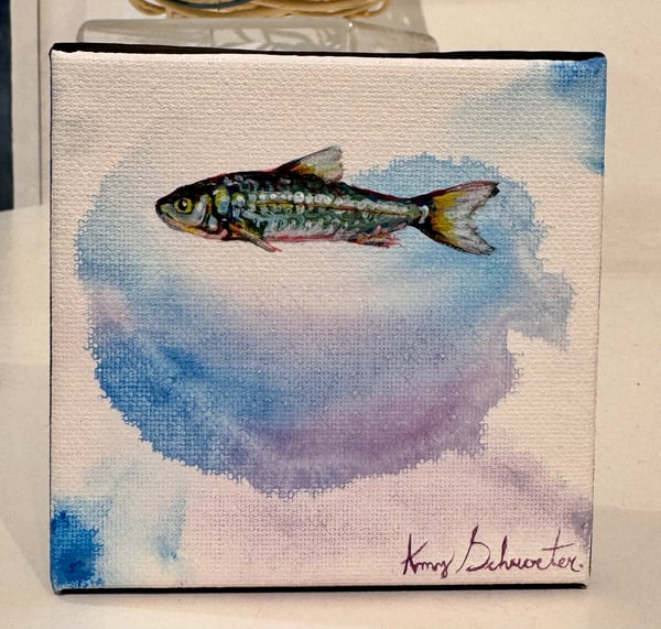 Minnows II by Amy Schroeter