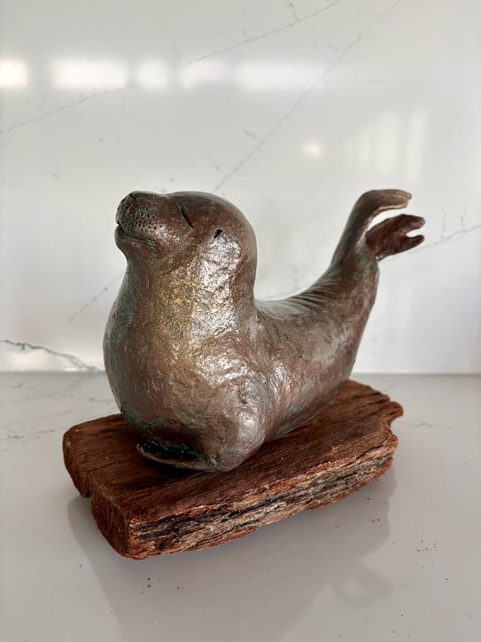 Karin Taylor - Large Seal with Driftwood base - artwork at The Gallery at Mattick's Farm, Victoria BC