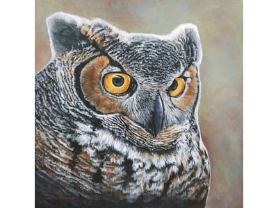 New Artist - Kathy Cameron