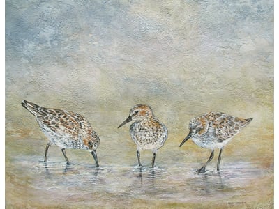 Kathy Cameron - Three Peckish Pipers