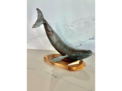 Discover Fresh Works by Karin Taylor