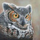 New Artist - Kathy Cameron