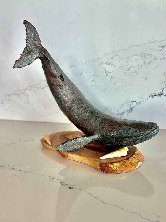 Discover Fresh Works by Karin Taylor